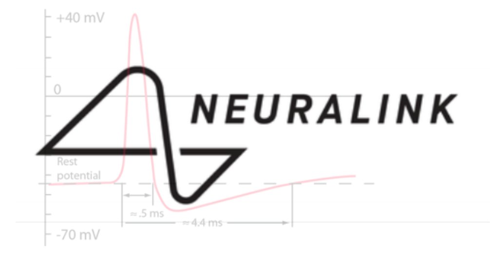 3/ NeuraLink (The logo resembles the wave form of a neuron when it fires AKA "action potential". It also forms an "n").