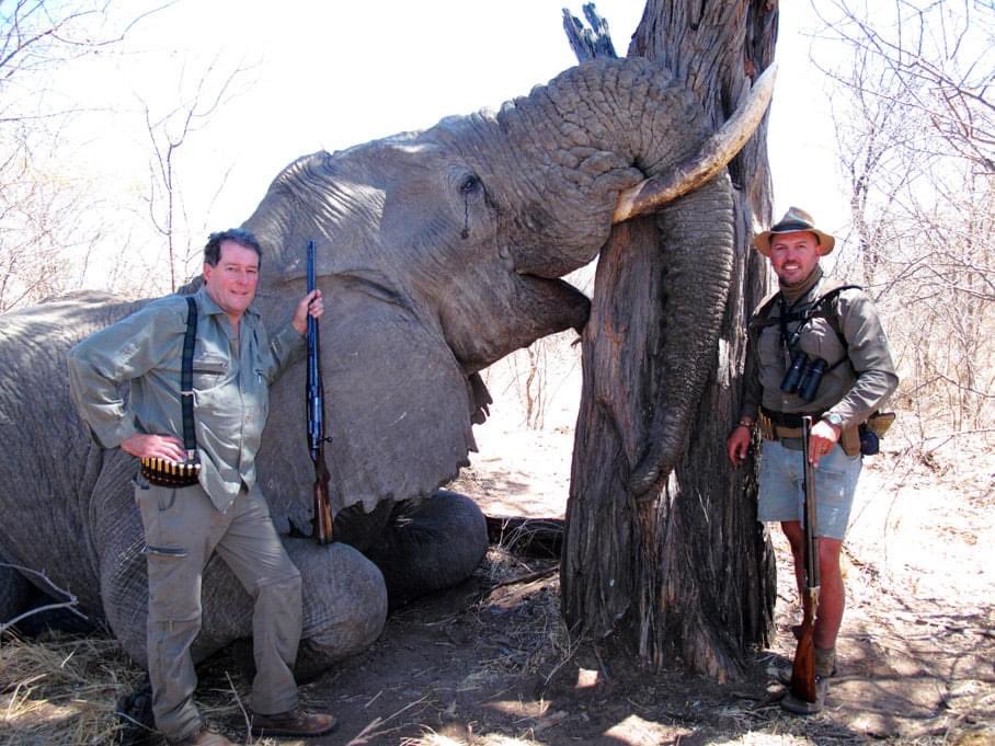 “The trophies I'm proudest of are the memories of all those times I didn't kill a beautiful, majestic, endangered species for no reason.” <a href="/rickygervais/">Ricky Gervais</a> 

🙏🏼Retweet if you want trophy hunting BANNED!

#BanTrophyHunting
#TakePhotosNotTrophies