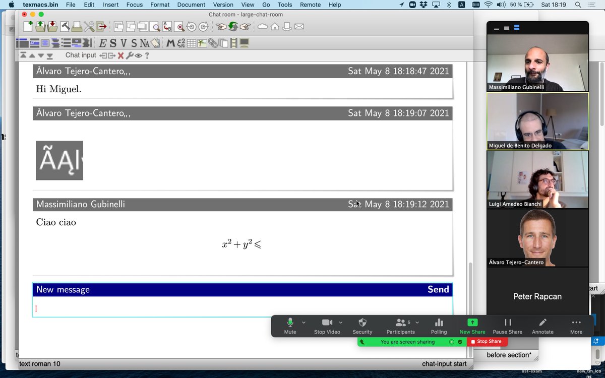 gnu_texmacs's tweet image. TeXmacs hacking session: we are testing the online collaboration features, in particular the chat room: #collaborativeediting