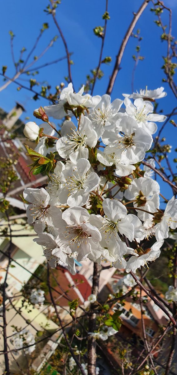 Kadir Geceniz mübarek olsun..Bu günlerin feyzi üzerinize, Rahmeti geçmişinize, bereketi evinize, Nuru Ahiretimize, sıcaklığı yuvamıza dolsun.