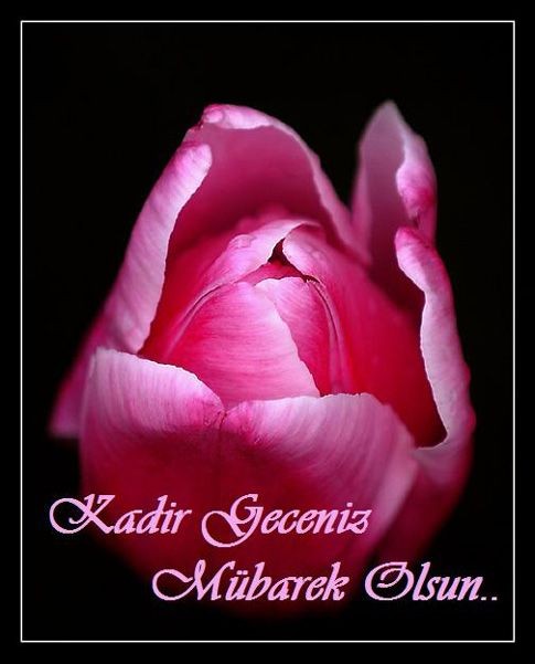 Hayırlı Kandiller Türkiyem Müslüman Kardeşlerim 🌹🌹