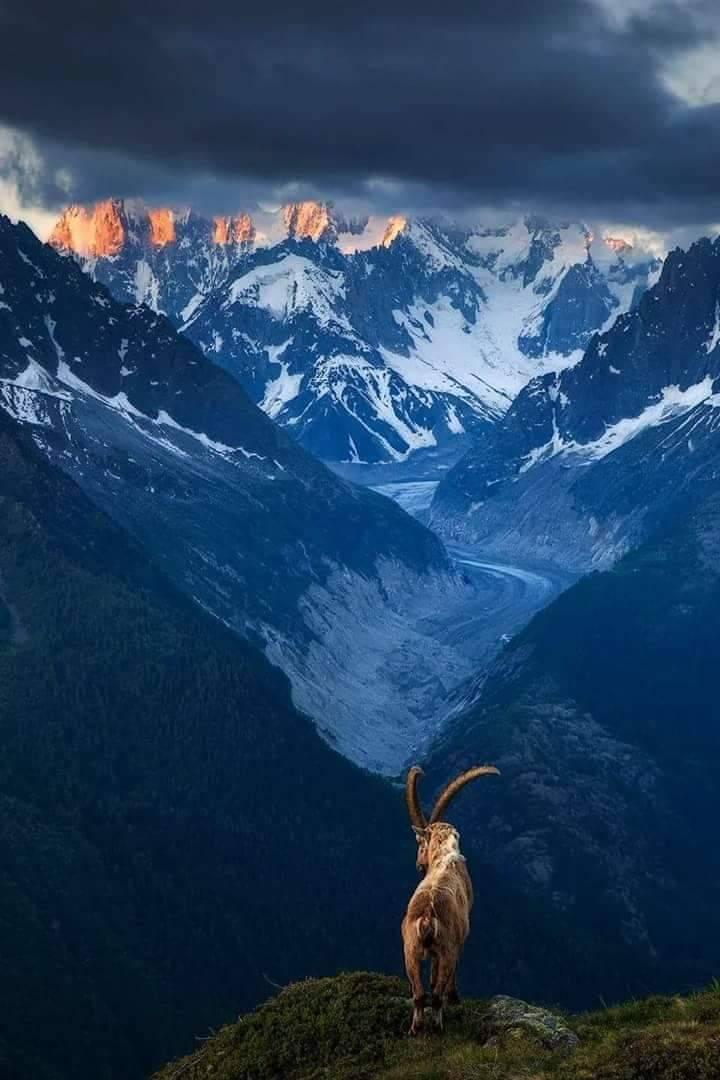 PakistanJannatt's tweet photo. Chitral gol National Park 🇵🇰 https://t.co/gURqwnQaGi