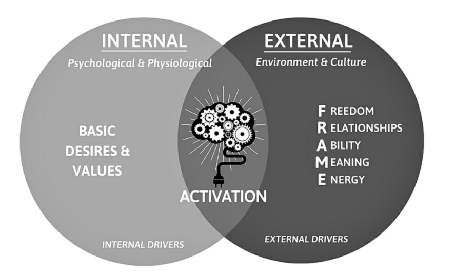 junaidkaliamd's tweet photo. True Motivation comes when Internal &amp; External drivers combine. Thanks is the moment of Zen (peace) and enjoyment (Fun) @AliAbdaal @DrJasonJones https://t.co/MVYrAScmvU