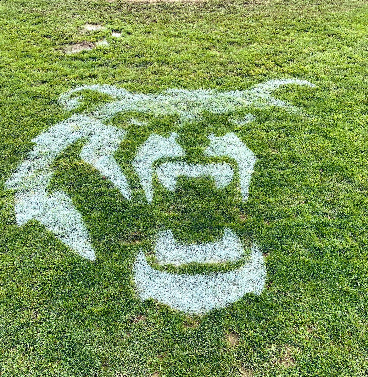Senior day for the boys of summer. Celebrating 5 today. C’mon bears, let’s get it done!!  Re-tweet this one followers, it’s about the students!! #Clawsup!✔️🐻💙
#WhatReallyMatters😉
<a href="/obhsbaseball/">Berlin Bears Baseball</a> <a href="/OlentangySD/">Olentangy Schools</a> <a href="/BerlinBearsSB/">Berlin Bears Softball🥎</a> <a href="/BerlinBears_SS/">The Cave</a> <a href="/Berlin_Bears_FB/">Berlin Bears Football</a> @kjrpoehler