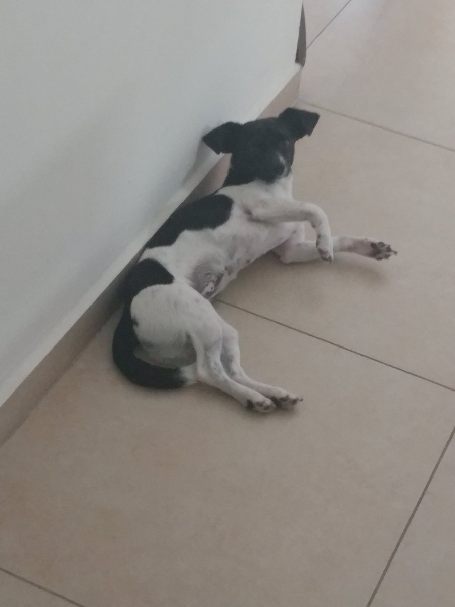 FailLior's tweet image. 