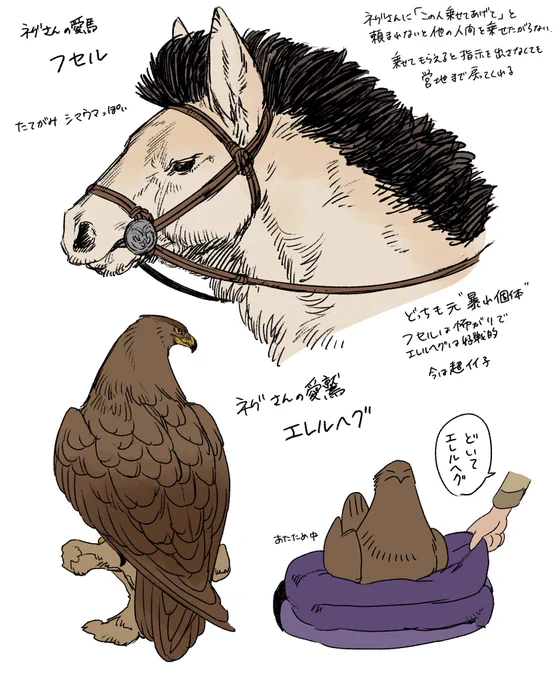 草原遊牧民的な感覚で馬や鷲に名前を付けてなかったけど日本人的には識別名以外の愛称があった方が馴染みやすいかなと思たのでメモ#乾坤の鷲  