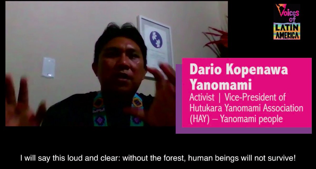 "I will say this loud and clear: without the forest, human beings will not survive."
<a href="/Dario_Kopenawa/">Dário Kopenawa Yanomami</a> | #VoicesofLatinAmerica | vola.org.uk