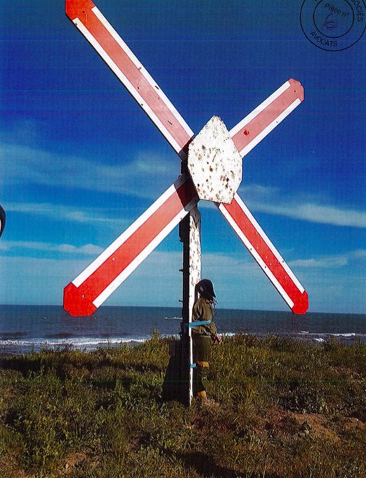 フランス軍のtwitterイラスト検索結果