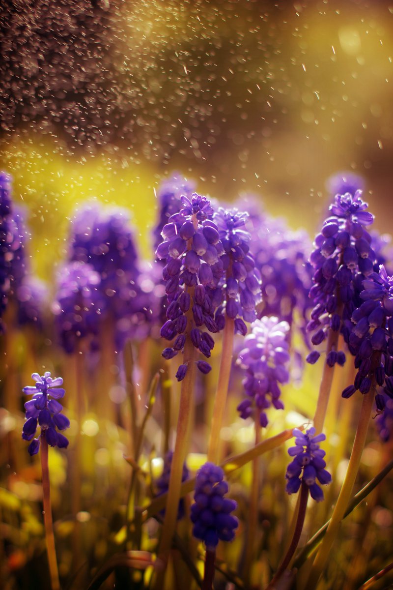 Justa1985 (@lipalipinska) on Twitter photo 