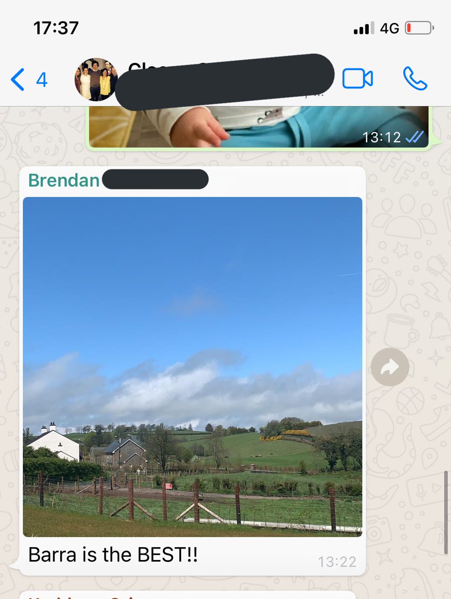 grievefra's tweet photo. @barrabest was the talk of the family group chat today 😆 https://t.co/pj7q6oJVcE