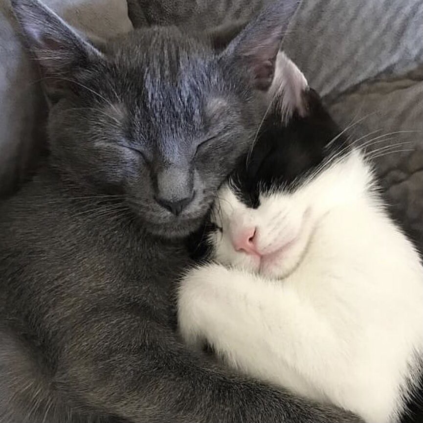 yvesfolder's tweet image. 