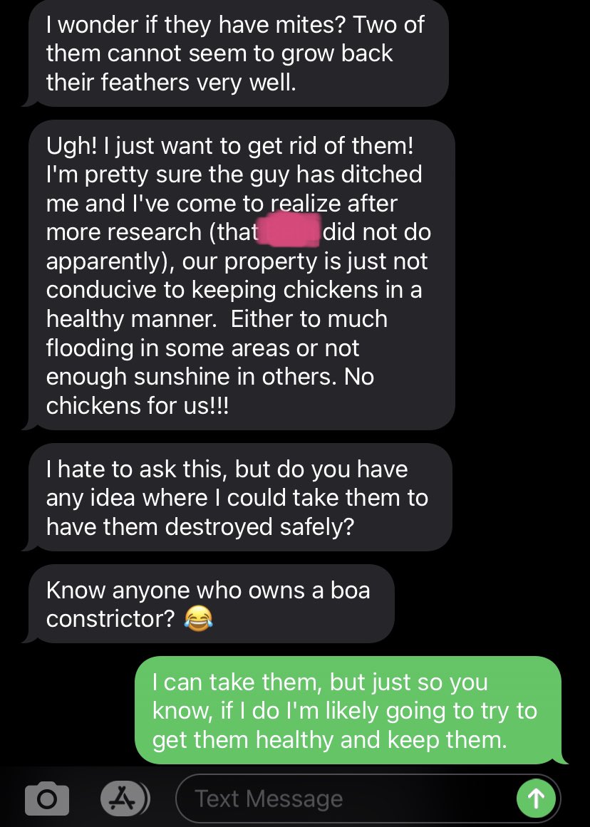 I’m not kidding, here’s the relevant part of the convo. Basically a shady dealer sold her 4 older, wormy hens who are in molt. And the lady won’t listen to me that hens always look bad when they’re tired and molting, and that they’ll probably improve with time and good feed. 