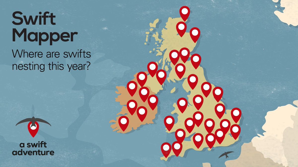 Natures_Voice's tweet image. This #WorldMigratoryBirdDay, it’s time for you to help! If you see swifts entering holes in buildings, or groups whizzing around at roof level giving screaming calls, then report it on #SwiftMapper! bit.ly/RSPBSwiftMapper