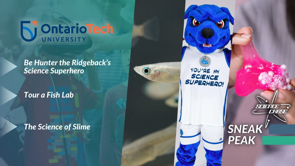 Become a Science Superhero at <a href="/ontariotech_u/">Ontario Tech University</a>’s #ScienceChase Checkpoint! Make colour-changing slime and elephant's toothpaste, discover chemical reactions, and tour a fish lab right at home! sciencerendezvous.ca/event_sites/ot…