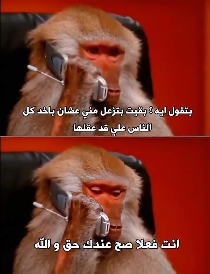 Toonzatt's tweet photo. 😂😂😂😂 https://t.co/cGwPM3BSHt
