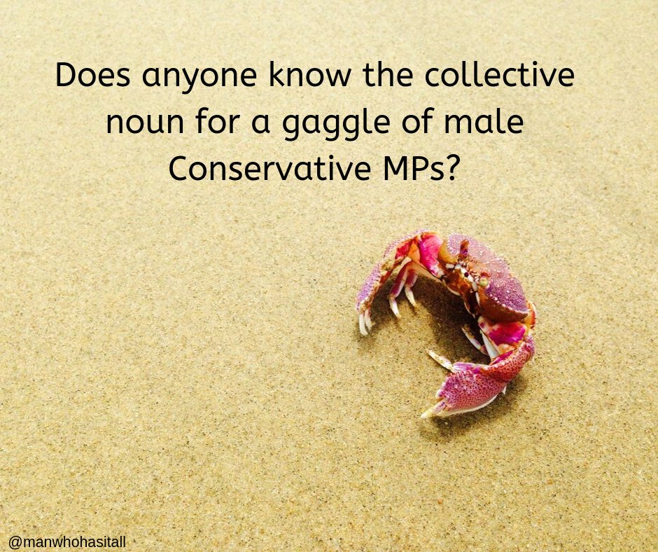 manwhohasitall (@manwhohasitall) on Twitter photo 