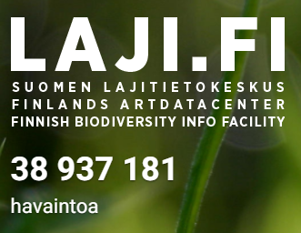 Leif_Sch's tweet photo. Juma! @aka_firi-hakemusta rustatessani tsekkasin @lajitieto-keskuksen tämänhetkisen datavolyymin: aivan pian 39 miljoonaa havista 🤯🥳
@luomus @helsinkiuni saa olla ylpeä ja koko #biodiversiteetti-dataa käyttävä tiedeyhteisö kiitollinen! @sykeinfo on innolla mukana! https://t.co/475hTlJRnV