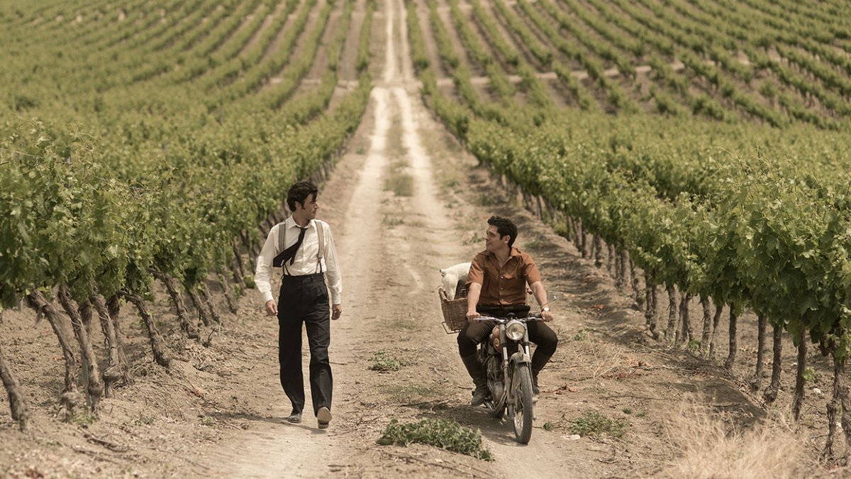 "El verano que vivimos"
🇪🇸
2020
Carlos Sedes.
Viñas bonitas. Triángulo amoroso menos bonito.