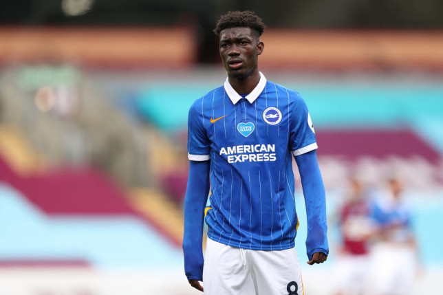 Yves Bissouma. I think every club in the country are looking at the 24 year old midfielder. He's an ideal Sissoko replacement, strong and quick with the ball, he has the technique Sissoko so badly lacked. Again, would fit the system if we get Potter in, whom he's very fond of.