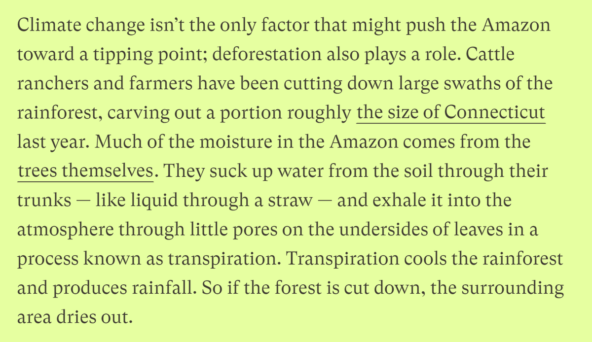 13/14 And some other fancy non-climate-related tipping points for rainforests.