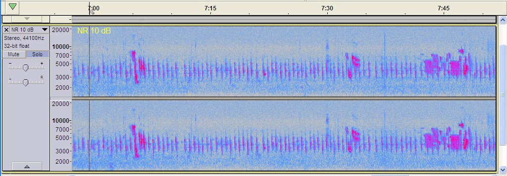 Sparrows are monotonous once they get going. (All of the non-monotonous bits here are other birds, except possibly the wedge-shaped thing at 1:22, which might be the smoke alarm asking for a new battery.)