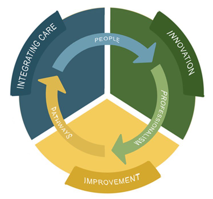 NMAHPVision's tweet photo. “Within these areas of activity (the three I’s) are three fundamental enablers, essential to all three activities the Vision drives (illustrated by inner circulating arrows). These enablers are: Professionalism, People and Pathways” #NMAHPVision https://t.co/ihxsgM0HU9