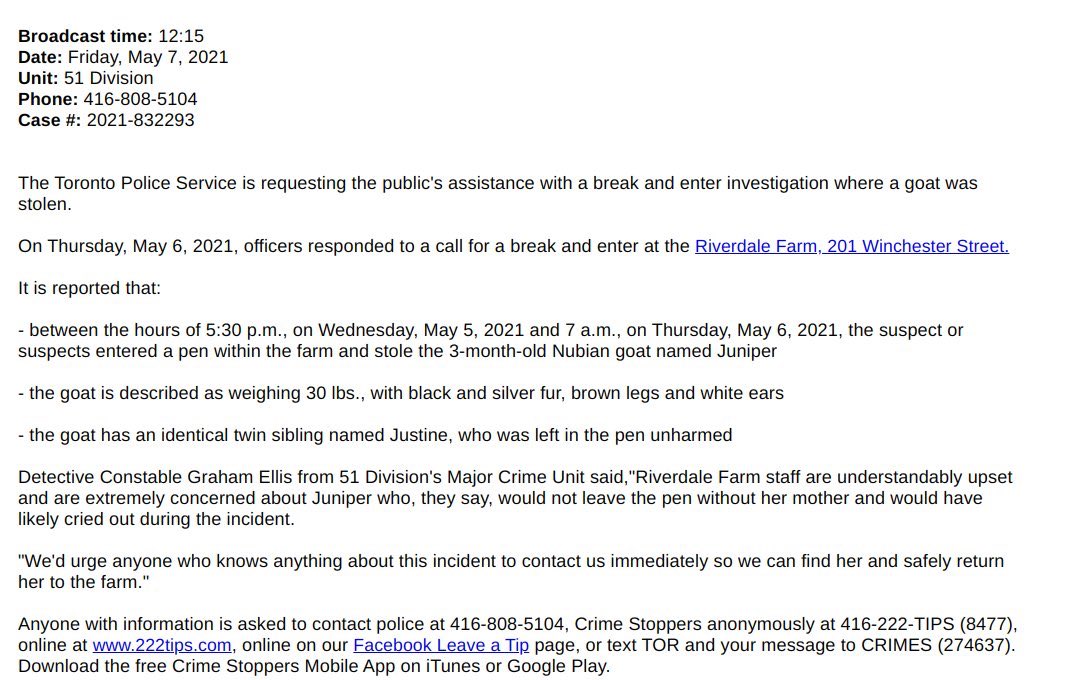 FarmCrime's tweet image. STOLEN GOAT! A 3-month old Nubian goat named, Juniper has been stolen from Toronto’s @RiverdaleFarmTO. Discovered missing Thursday AM after apparent B&amp;amp;E. 

PLEASE SHARE and #HelpBringJuniperHome!
#farmcrime
