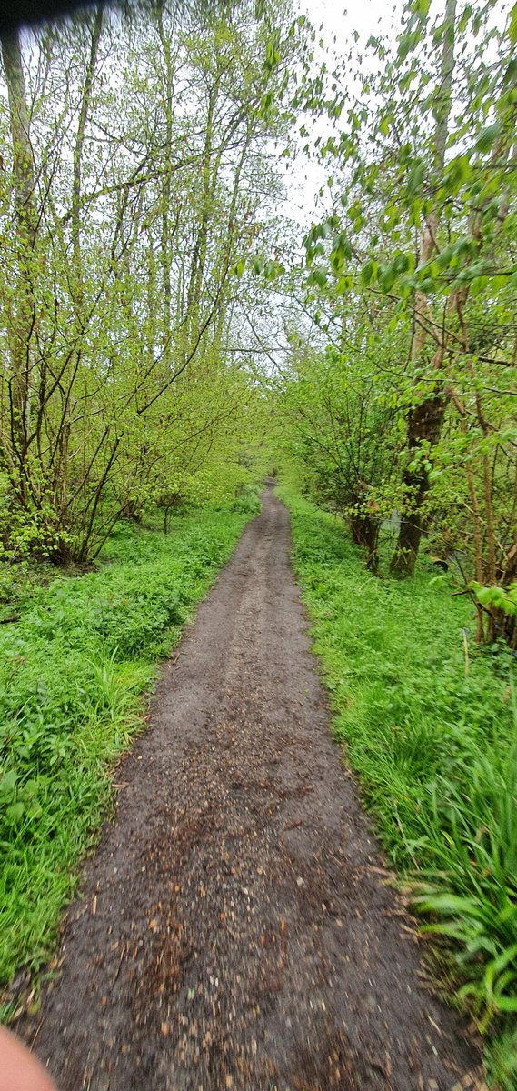 Jared Young tweet media