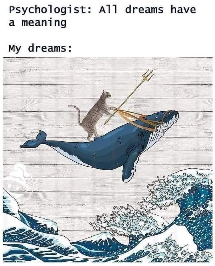 HugginsCooper's tweet photo. #Dreams #goals #WritingFodder #WritingInspiration #WritingCommunity https://t.co/n98CMb8IWq