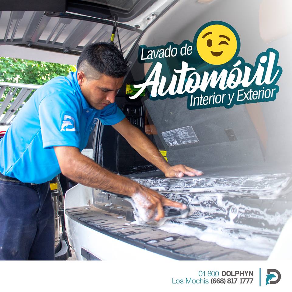 dolphynclean's tweet photo. Dale a tu automóvil la limpieza, con la calidad que se merece, sólo en Dolphyn Clean.
¡¡¡No olvides agendar tu servicio con tiempo!!! Visita nuestra página: (link: https://t.co/6ZAbo9EcLj) https://t.co/F5RhxnToho https://t.co/AqEdXfrDmd