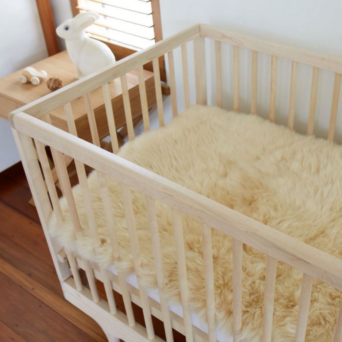 Wist je dat buiten slapen super gezond is voor je kindje? En helemaal met een medicinaal schapenvacht! 

Shop hier je medicinale schapenvacht! 👇🏻
texelseproducten.nl/vachten-wolpro…