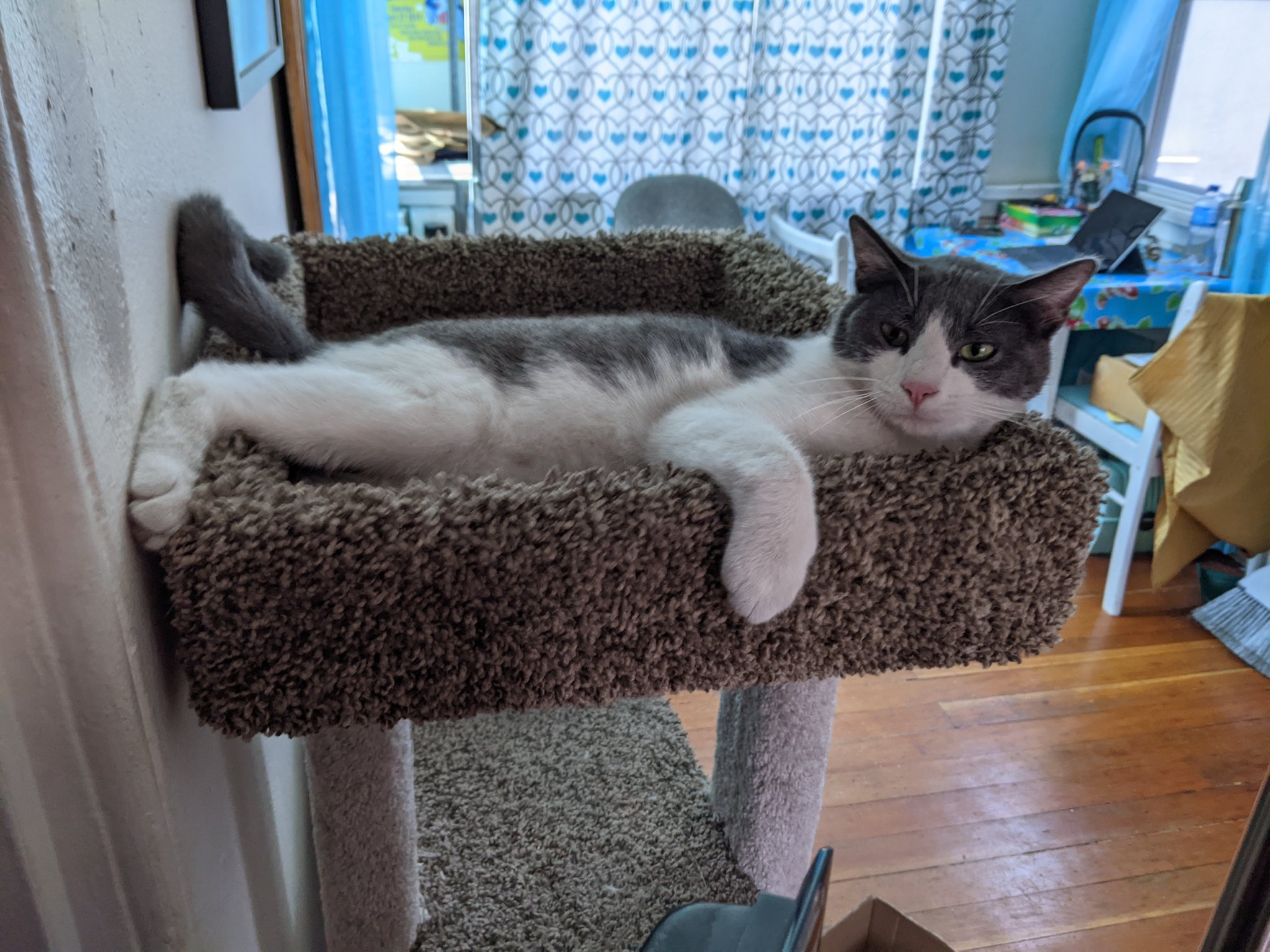 Matthew Rorie on Twitter: