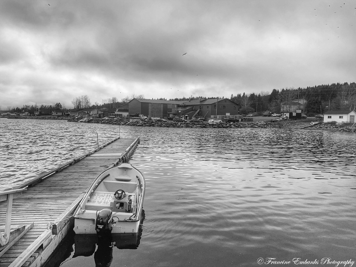 FrancineEmbanks's tweet photo. I want to learn so much more to become a better photographer, right now I only shoot for fun. Taken in beautiful Glovertown, NL. #blackandwhitephotography #glovertown #newfoundland #photography #shotoniphone #blackandwhite #beautiful #love #mypassion #cameramama #camerafreak https://t.co/Rzi3s0fRFm