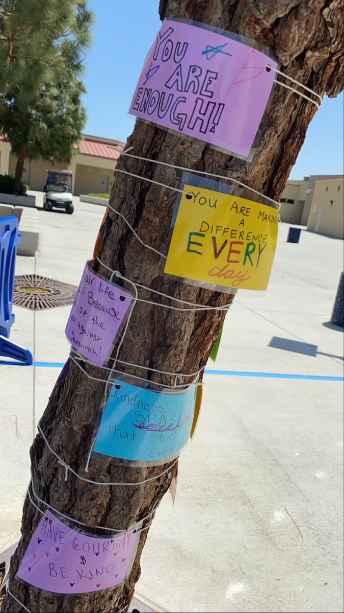 RVMSflagship's tweet photo. Positivi-TREE 💚 Hey Mavs! Our PLUS team put together this amazing POSITIVITY TREE right here on our very own campus! If you’re one of our Hybrid students, be sure to check it out &amp;&amp; soak in some positivity to help you get through your day!! #rvms #husdpremier #tsapp #tsapp4life https://t.co/eOJd6y7Rkx