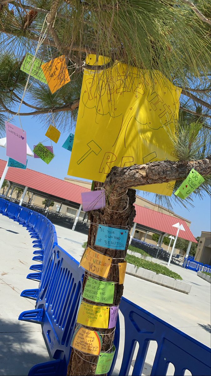 RVMSflagship's tweet photo. Positivi-TREE 💚 Hey Mavs! Our PLUS team put together this amazing POSITIVITY TREE right here on our very own campus! If you’re one of our Hybrid students, be sure to check it out &amp;&amp; soak in some positivity to help you get through your day!! #rvms #husdpremier #tsapp #tsapp4life https://t.co/eOJd6y7Rkx