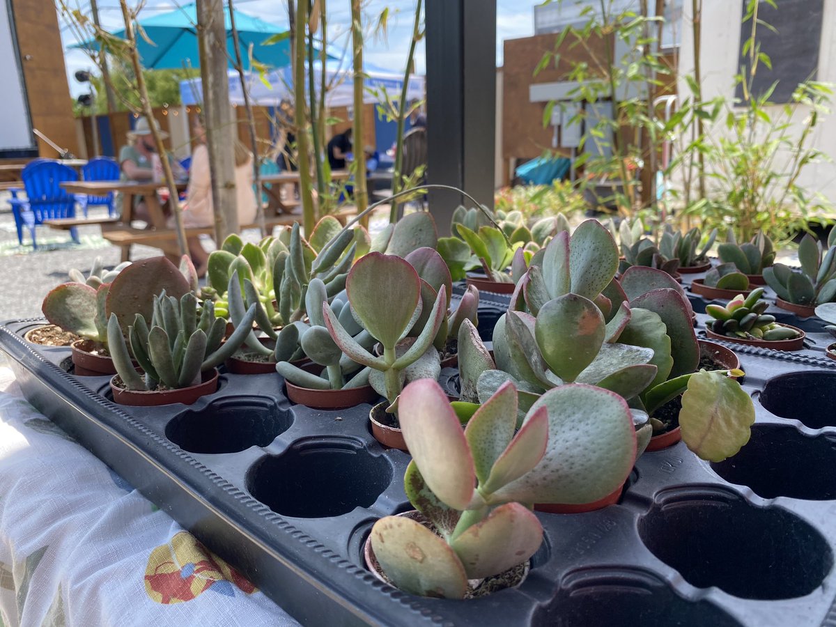 nolaready's tweet photo. ๐พ๐ต๐ฟ๐๐๐ง
โGet it for your Mamaโ vax fest is ๐ฅ๐ฅ๐ฅ
@CrescentCare504 giving #COVIDVaccines, mimosas, plants, jewelry & more at @BroadsideNola til 3pm today with @RQaway on the ๐ต
#sleevesupnola #shotsforshots https://t.co/gQAt53q8ee