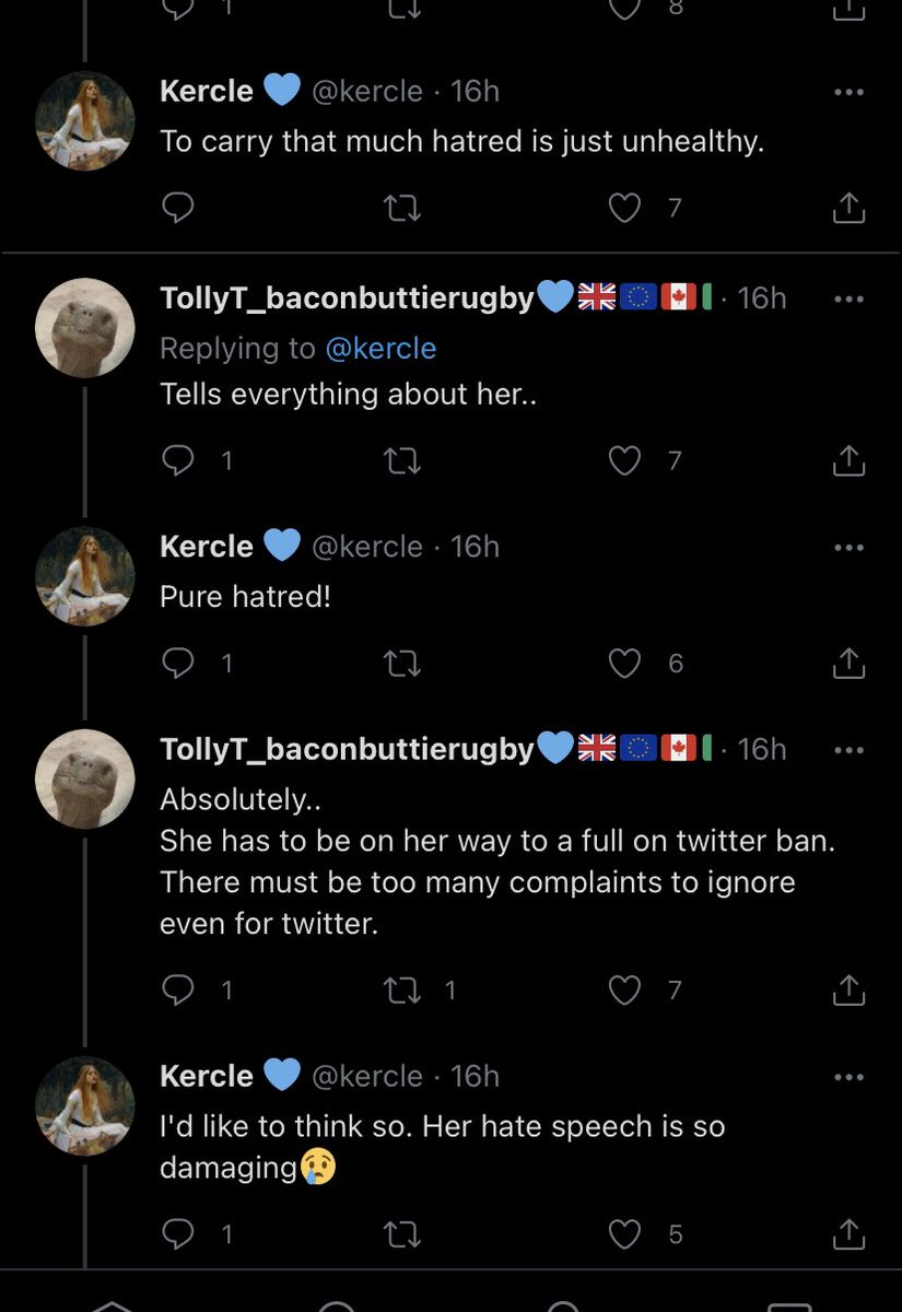 Kercle read the blog and decided to insert herself (defending Jamie). After attacking Judy for days she decided to mass report her for a tongue and cheek poem about a bigot.As you can see below someone tried to explain to her.
