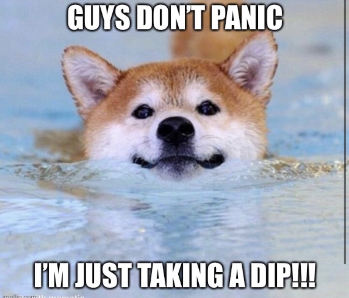 We will rise again shortly 🚀🚀🚀#doge #dogecoin #DogeSNL #DogeEurope #dogearmy #Dogefather #DogecoinToTheMoon #Dogecoinarmy #DogeCoinTheMoon #DogeFam #HODLE