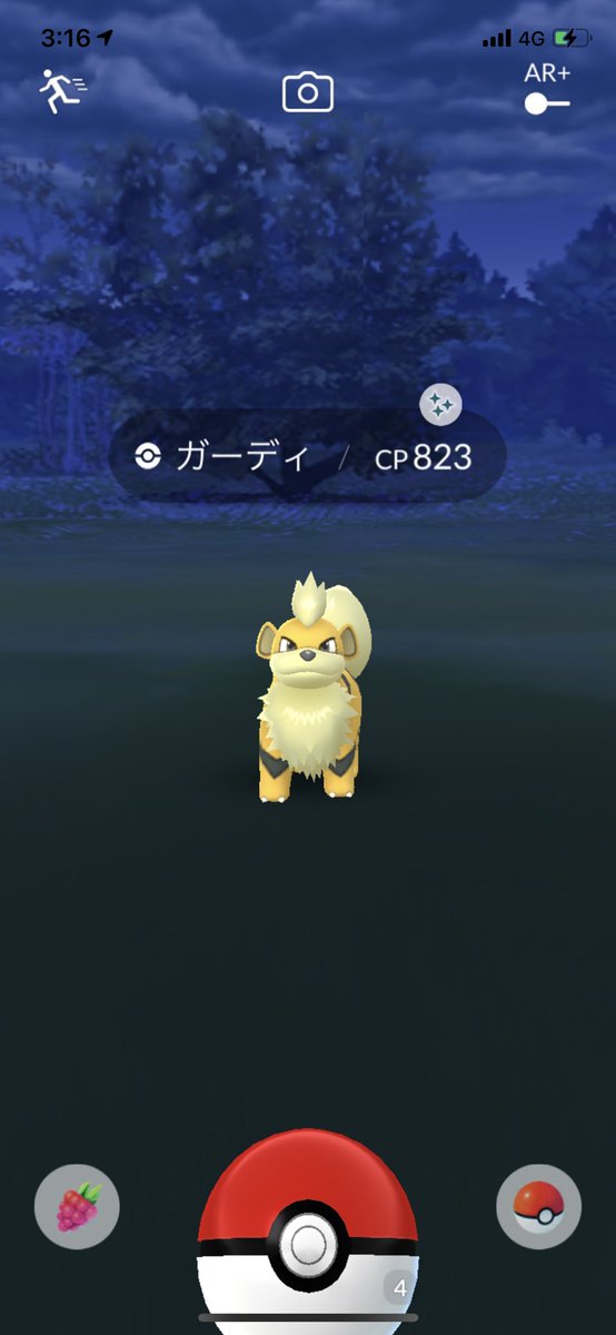 ちろる على تويتر 夜中お腹空いて目覚めたからポケモンgoしたらガーディの色違いゲット そのまま進化させた ポケモンgo 色違い ガーディ ウインディ
