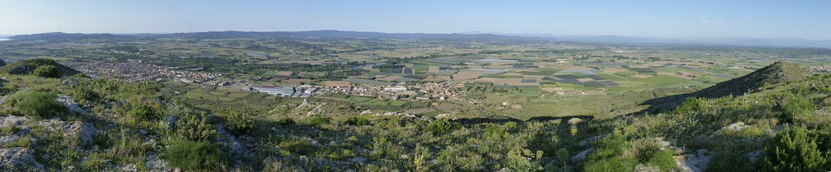 quimboucomics's tweet photo. Olla del Montgrí
#emporda #montgrí #castell #casttle #chateau #catalunya #catalonia #catalogne #muntanya #mountains #montagnes #excursio #excursion #trekking https://t.co/pkHWG69sb8