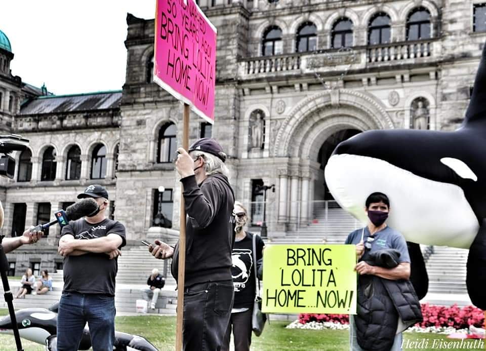 wesupportpaulw's tweet photo. 50 years living in a fish bowl.
#freelolita#endcaptivity #emptythetanks #seashepherdconservationsociety #bringlolitahome #seashepherdvictoriaunceededcoastsalishterritory #heidieisenhuthphotography #anticaptivity #ctv @heidi_ironhelmut instagram https://t.co/i7sMrFVdyh
