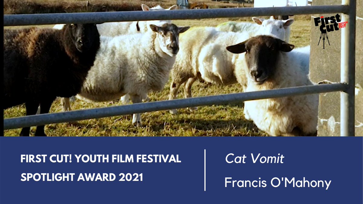 FirstCut1's tweet photo. First Cut! Youth Film Festival Spotlight Award 2021: Cat Vomit by Francis O'Mahony.
#Congratulations #FirstCutAwards2021 https://t.co/bOFHSF9A0H