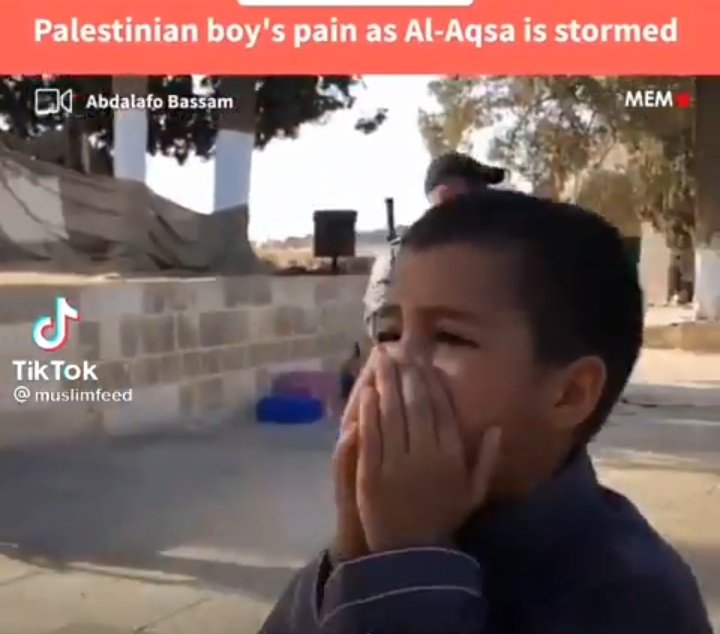 Bang_Bang_Bro's tweet photo. #IStandWithIsrael bcoz palestine
Show this👇         To Hide This👇
Boy Crying.            Boy Hitting Bricks https://t.co/dSMUXRtyKY