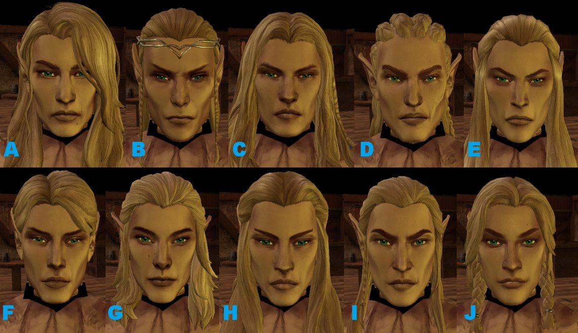 TheDragonsNeck's tweet photo. Take a look at the custom Elven Heads that will be available on The Dragon's Neck!

#dnd #NWN @BeamdogInc @JuliusBorisov #RPG https://t.co/SPL5B9Y7jC