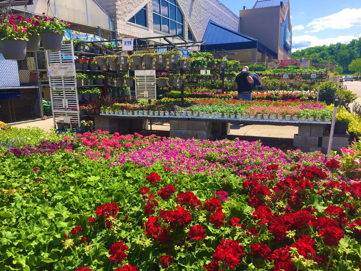 J99538648's tweet photo. Bring the Spring home to Mom! https://t.co/Do5yH4OolE
