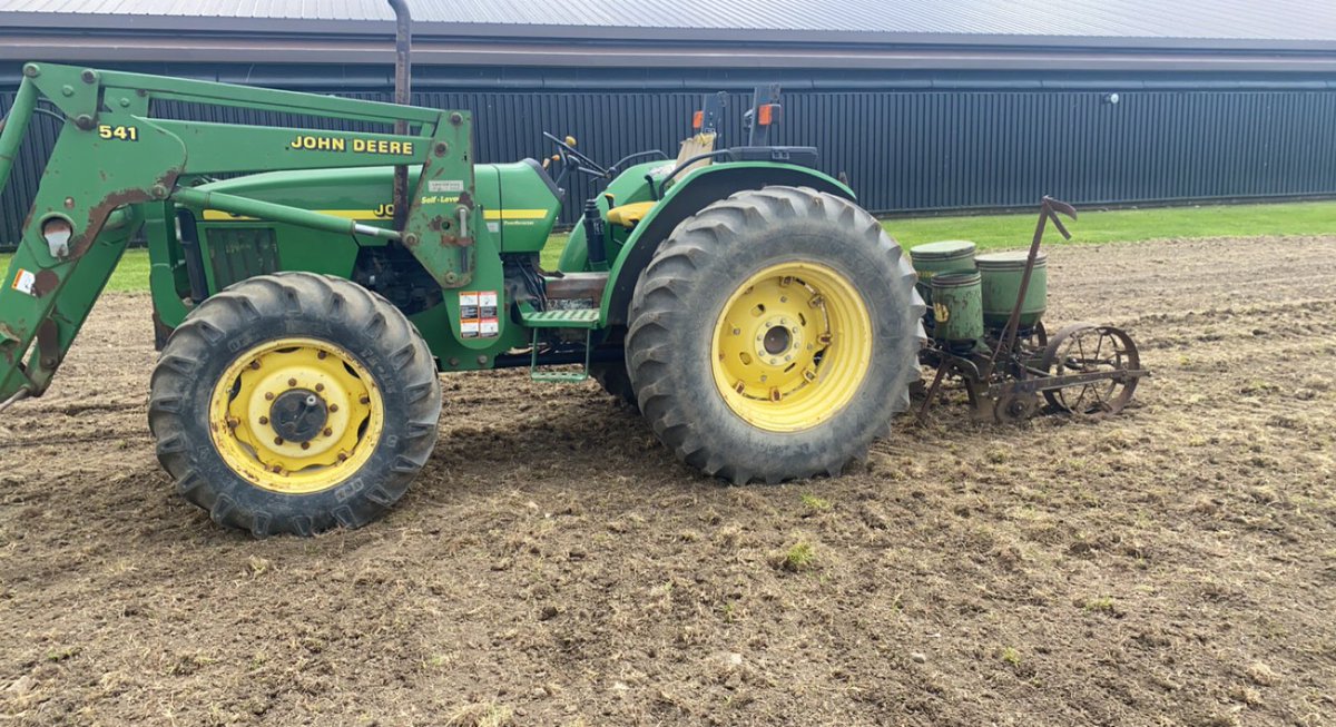 Corn plant 2021 on the go