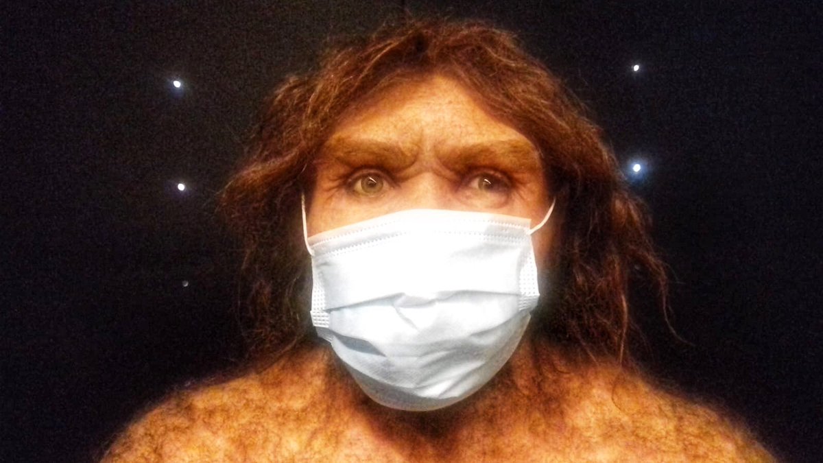 Estoy encantado de que se acabe el estado de alarma, pero los sapiens sois de tropezar dos veces en la misma piedra, como nosotros; por favor,respetad normas, en las reuniones mantened las mascarillas si toca. Os quiero a todos de vuelta por el <a href="/museoevolucion/">MuseoEvoluciónHumana</a> gracias por RT