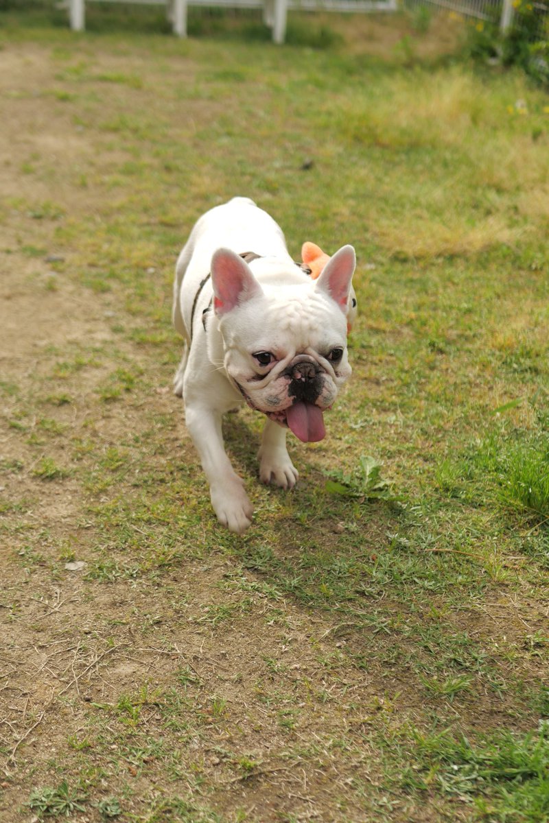 橋本 ちなみ もっちー Iyc1oon0rne7qcz Twitter