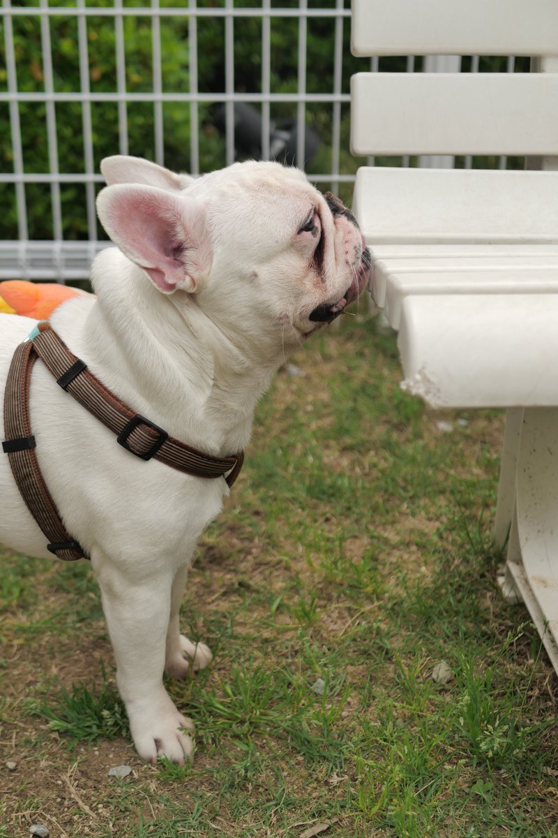 橋本 ちなみ もっちー Iyc1oon0rne7qcz Twitter