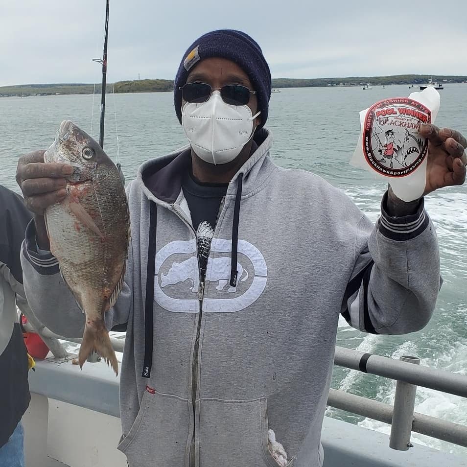 BlackHawkFishin's tweet photo. It was LIGHTS OUT PORGY ACTION today on the BLACK HAWK with a FULL BOAT LIMIT OF JUMBO SCUP! They were FLYING OVER THE RAILS from the first drop and WE LEFT THEM CHEWING! IT DOESN'T GET MUCH BETTER THAN THIS! #blackhawk (860) 448-3662 https://t.co/Gn2WiXSOph https://t.co/LYzZK0tKth